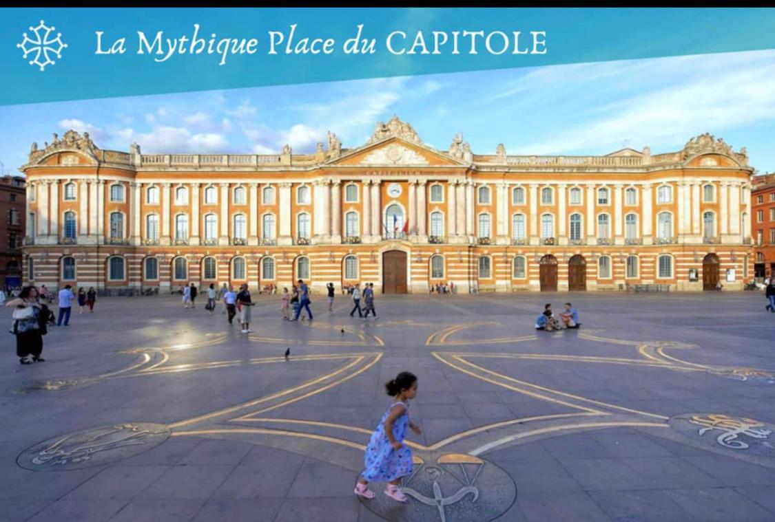 L Oasis Studio Proche Hopital Et Aeroport Piscine Parking &Netflix Toulouse Exteriör bild