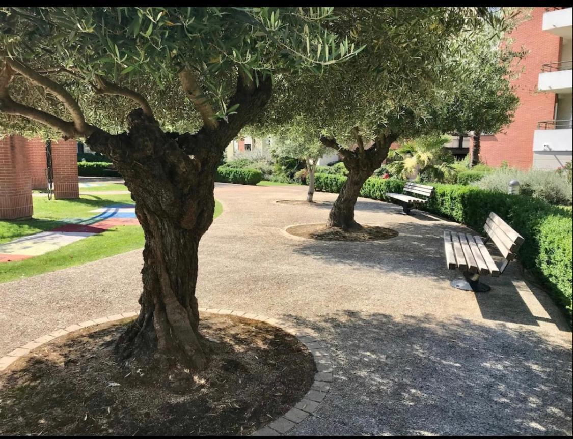 L Oasis Studio Proche Hopital Et Aeroport Piscine Parking &Netflix Toulouse Exteriör bild